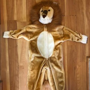 Lion costume